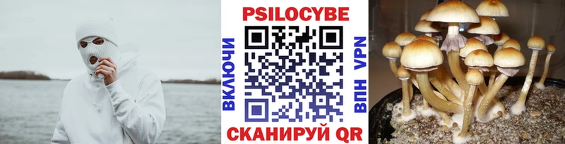 Псилоцибиновые грибы прущие грибы  Волчанск 